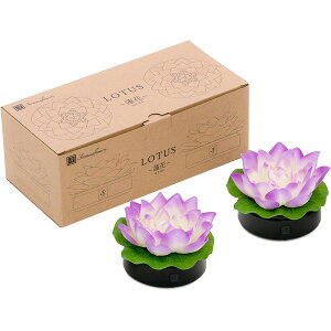 ロータス〜蓮花(はすはな)白 (一対) (代引不可)