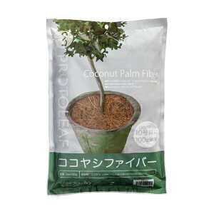 i܂Ƃ߁jvg[t RRVt@Co[ i` 100g 1pbN y×5Zbgz (s)