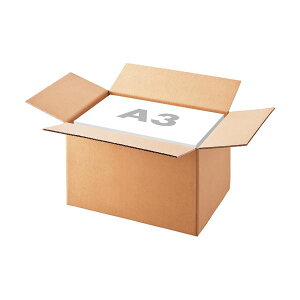 i܂Ƃ߁jTANOSEE n_{[ A3iLjTCY yʃ^Cv 295mm 1pbNi10j y×5Zbgz (s)