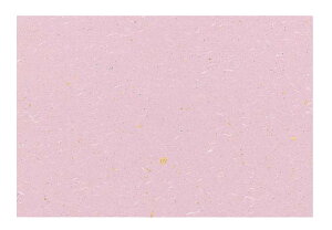 ڎO}bg  (100) KT-2 ӂ(s)yz