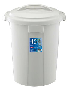 VxN ی^|y[ O[ 45N { PP(s)yz