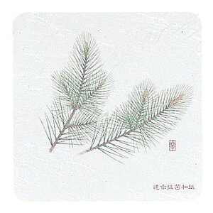 �a���R�[�X�^�[ �l�G �p�^(50����)WCO-K1 ��(����s��)�y���������z