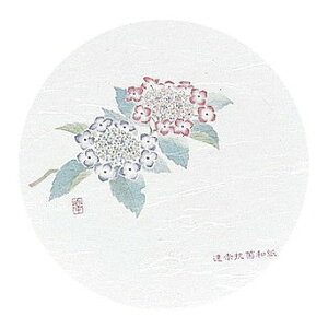 aR[X^[ lG ی^(50)WCO-M5 (s)yz