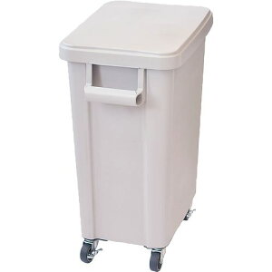 RISU(���X) �~�[�p�L���X�^�[�y�[��(�r����t) 45�^ �O���[ KDS8501�y���������z