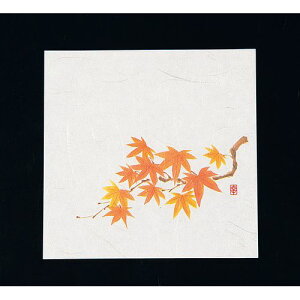 A[ebN j[lG 5(100) NS-14 Ԃ݂ QKIJ601