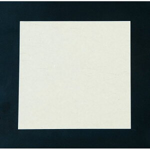 A[ebN j[lG 4(100) NS-68 n QKIG901