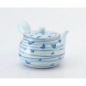 GYWp ؂̗tQ }{ D05-27 RKY5301yz