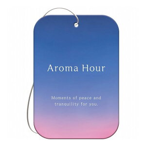 ������ �A���}�A���[�v���[�g3�p�b�N �q�[�����O���X�N �F���� �ԓ� ���� ���� �ԗp �J�[�p�i�y�|�C���g10�{�z