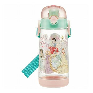 XP[^[ qp vX`bN NA{g 480ml vZX23 PDDR5 Skater