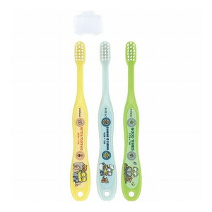 XP[^[ uV p 炩 3{Zbg 3~5 ~jI23 TB5ST Skater