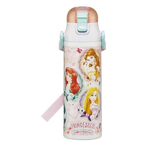 XP[^[ y ۗ XeX  {g  580ml vZX24 LN^[ 킢  qǂ q ` SDC6N Skateryz