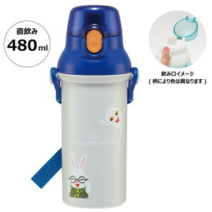 スケーター 銀イオン抗菌 食洗器対応 直飲み 水筒 プラボトル 480ml めがねうさぎ PSB5SANAG キャラクター かわいい 可愛い Skater