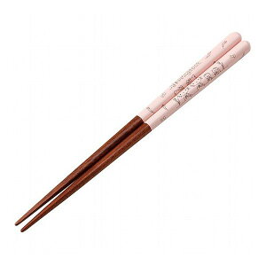 XP[^[ h LN^[ 21cm KT CfUC ANN4SQ LN^[  킢 Skater