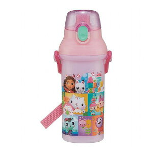 ギャビーのドールハウス 銀イオン抗菌 食洗器対応 直飲み 水筒 プラボトル 480ml ギャビーのドールハウス PSB5SANAG スケーター Skater キャラクター 可愛い かわいい