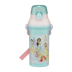 プリンセス25 銀イオン抗菌 食洗器対応 直飲み 水筒 プラボトル 480ml プリンセス25 PSB5SANAG スケーター Skater キャラクター 可愛い かわいい