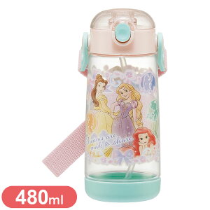 vZX25 XP[^[  LbY ^b` Xg[ {g NA 480ml vZX25 PDSH5 Skater