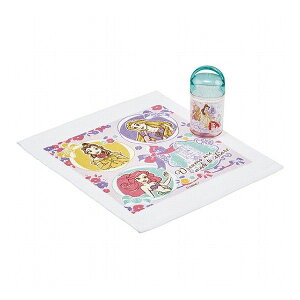 プリンセス25 銀イオン抗菌 ケース付き おしぼり プリンセス25 スケーター Skater OA5AG キャラクター 可愛い かわいい