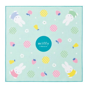 ~btB[  `NX NX 43cm ٓp   ȒP ֗ KBST43 LN^[ XP[^[ skateryz