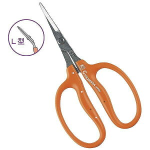 ߐ ߐ B-500SL XeԂǂL^ ܓyz