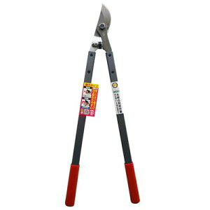 󍁍H FG ͑} S621-RG #192451(s)yz