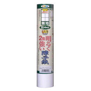 ATqy UVJbg 邭2{q ڔ SU-21 n(s)