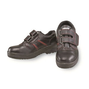 ӂ SV[Y}WbN^Cv JW-755(s)yz