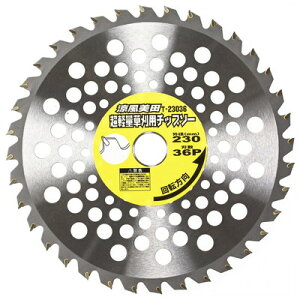 ŃMl쏊 c yʑ`bv\[ T-23036(s)yz