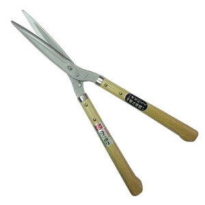 gn ̂Z(S|) #401(s)yz