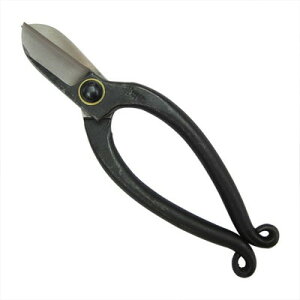 gn   JV #206B(s)yz