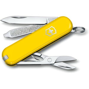 victorinox VTNX NVbNSD Sunny Side #0.6223.8G(s)yz