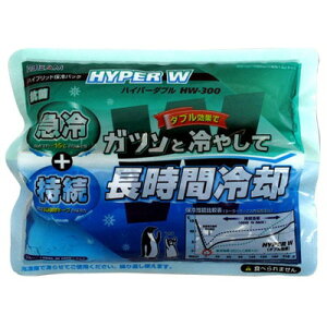 ASTAGE ASTAGE #620712 nCp[W HW-300(s)