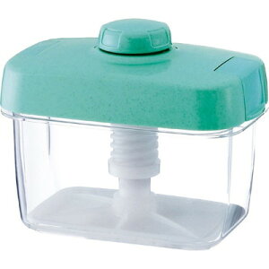 X X GHIP317 nCybg S-16 G(s)yz