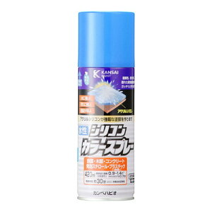 JynsI VRJ[Xv[ XJCu[ 420ML #00507650642420(s)