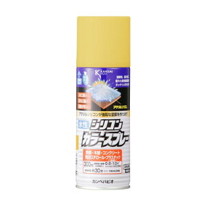 JynsI VRJ[Xv[ j[S[h 300ML #00507654172300(s)