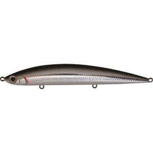 WN\ Jackson AX[g 12SSP CKI J^N`(s)yz