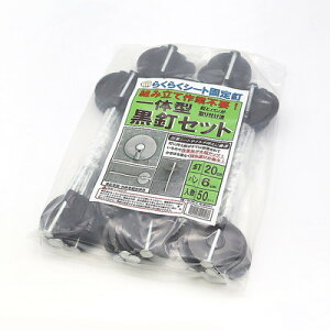 SNAO[ ̌^BZbg 50PZbg(s)yz