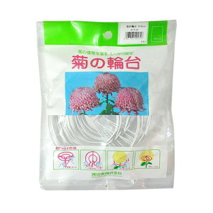 nӑ nӑ e̗֑ 12cm 10(s)