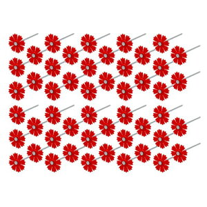 �L����Ѓ~�l �Ԃ���� �R�X���X 50P�Z�b�g(����s��)�y���������z