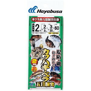 HAYABUSA hJnMExܖړ Lclb2{×2 HD191 2 nX2 HD191-2-2(s)