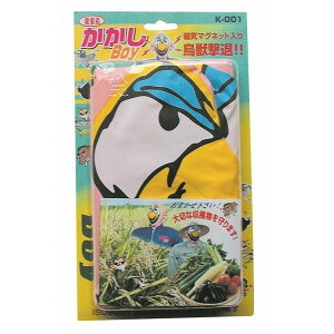 ŃMl쏊 BOY K-001(s)