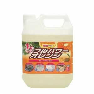 �Z�b�c �t���p���[�I�����W 4kg E-104(����s��)�y���������z