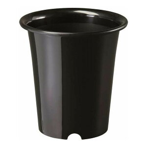 �m������ 6�� 3�Z�b�g �u���b�N ��a�v���X�`�b�N(����s��)