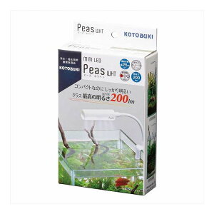 ~jLED s[X zCg H|(s)yz