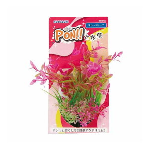 PON-S bh[t H|(s)