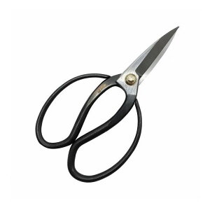 Cg[ nA 195mm SP-3(s)y|Cg10{zyz