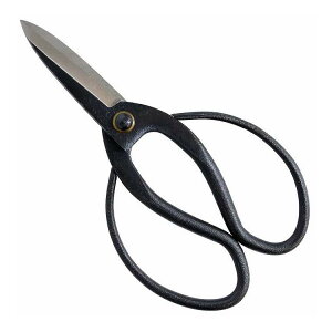 Cg[ nv MG-300(s)y|Cg10{z