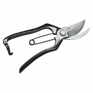 �b�������� ���~SF�^ DK-616(����s��)�y�|�C���g10�{�z�y���������z