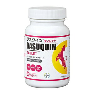 _XNC ^ubg p 40 Tvg Tv ybgp ʗp GRWpy|Cg10{zyz