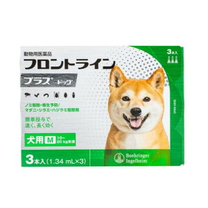 ypiz tgC p M 10`20kg 3{ m~ a _j nW~ 쏜 쏜t p ybgp i ^ ^ tgCvXhbO(s)y[֔z