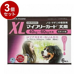 ypiz y3Zbgz  }Ct[K[h p XL 40~60kg 6{y|Cg10{zyz